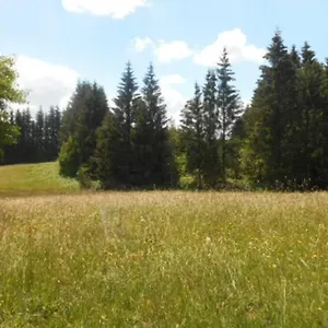 De La Montagne D'ance Hébergement de vacances Chastreix